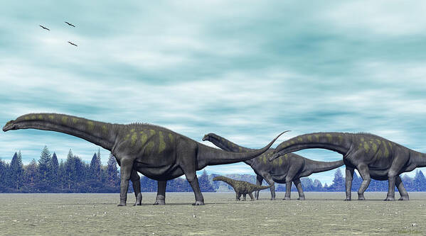 Argentinosaurus Poster featuring the digital art Argentinosaurus by Walter Colvin