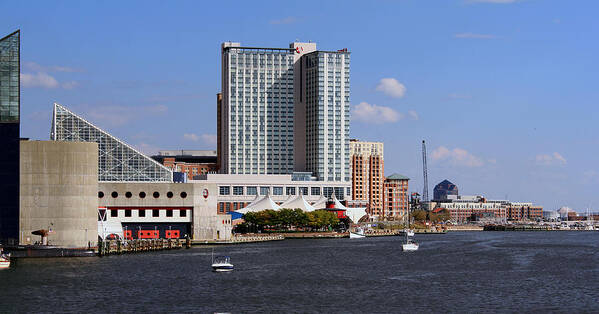 Baltimore Poster featuring the photograph Baltimore Harbor by Karen Harrison Brown