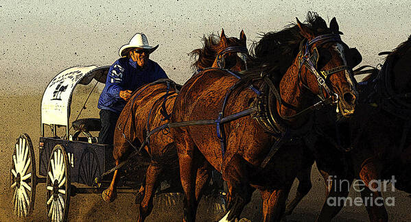 Horses Poster featuring the photograph Rodeo Chuckwagon Racer by Bob Christopher