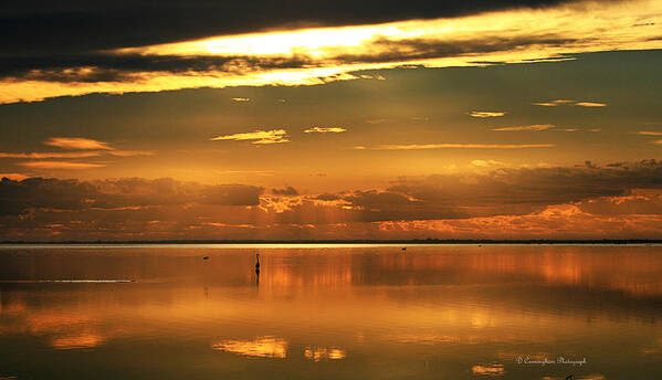 Merritt Island Poster featuring the photograph Early Morning Rise by Dorothy Cunningham