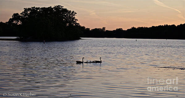 Outdoors Poster featuring the photograph Evening Commute by Susan Herber