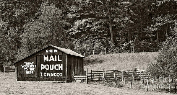 Barn Poster featuring the photograph Mail Pouch Tobacco Barn in Black and White by Kathleen K Parker