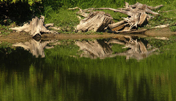 Lake Poster featuring the photograph Mirror Images by Wanda Brandon