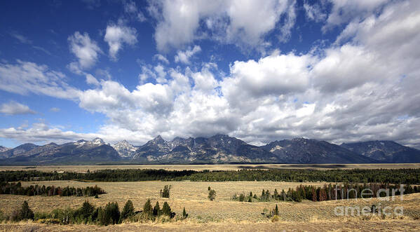 Landscape Poster featuring the photograph Teton by Milena Boeva