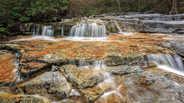 Cool Mountain Stream Poster featuring the photograph Cool Mountain Stream #2 by Bill Wakeley