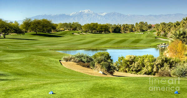 Palm Desert Golf Course; Beautiful Scenery; Mountains Poster featuring the photograph Palm Desert Golf Course #1 by David Zanzinger
