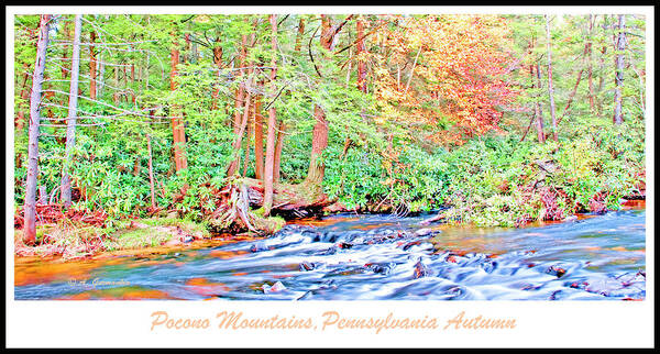 Current Poster featuring the photograph Mountain Stream in Autumn Pocono Mountains Pennsylvania #2 by A Macarthur Gurmankin