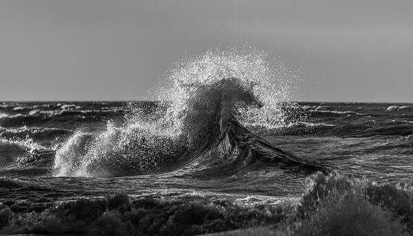 Lake Erie Poster featuring the photograph Lake Erie Waves #3 by Dave Niedbala