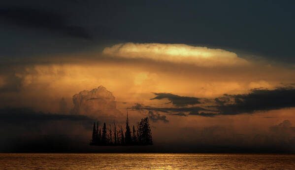 Trees Poster featuring the photograph 4476 by Peter Holme III