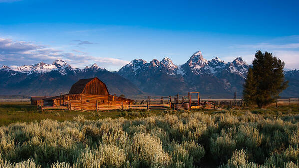 Jackson Hole Poster featuring the photograph A Moulton Barn by Monte Stevens
