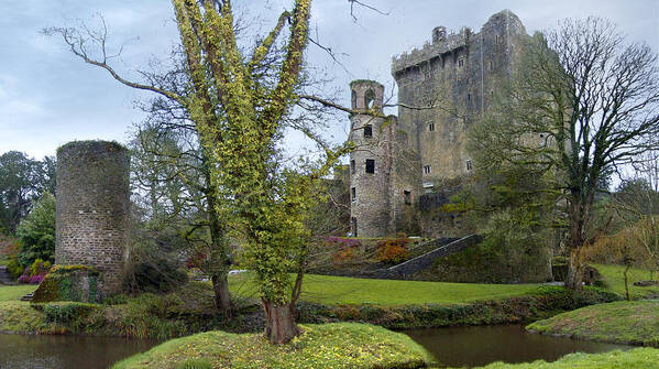 Ireland Poster featuring the photograph Blarney Castle 3 by Mike McGlothlen