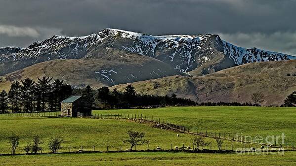 Blencathra Poster featuring the photograph Blencathra Mountain, Lake District by Martyn Arnold