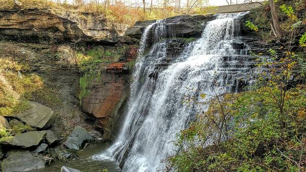  Poster featuring the photograph Brandywine Falls by Brad Nellis