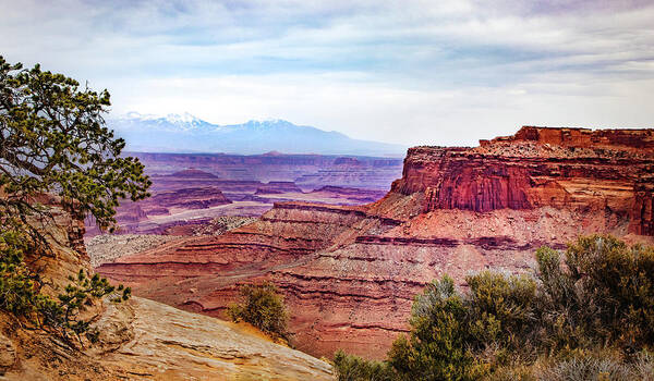 Utah Poster featuring the photograph Canyonlands National Park by James Woody