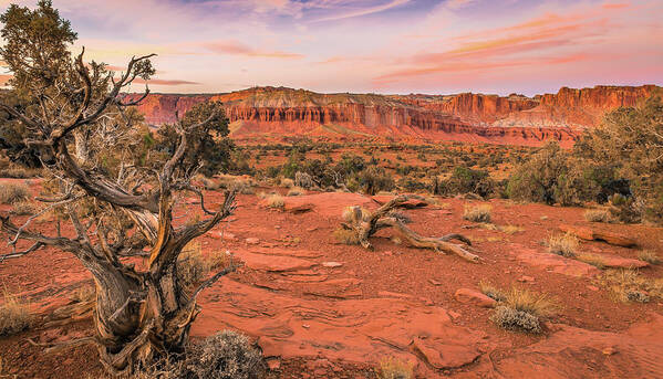 Capitol Reef Poster featuring the photograph Capitol Reef Dusk by Judi Kubes