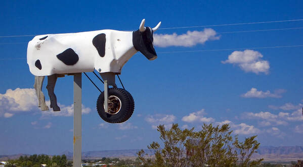 Cow Poster featuring the photograph Cow Power by Skip Hunt