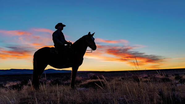 Cowboy Poster featuring the photograph Cowboy Sunrise by David Soldano