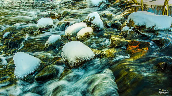 Cranbury Poster featuring the photograph Cranbury New Jersey Waterscape 2 by Tim Bonnette