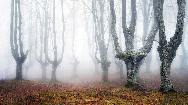 Winter Poster featuring the photograph Creatures of Egirinao by Mikel Martinez de Osaba