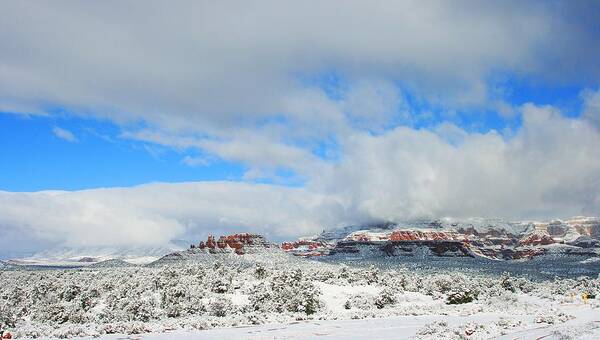 Sedona Poster featuring the photograph Dry Creek by Gary Kaylor