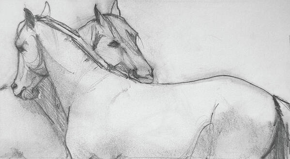 Horse Art Poster featuring the drawing Reciprocity Sketch by Jani Freimann