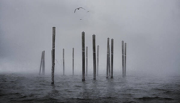 Ethereal Pilings Poster featuring the photograph Ethereal Pilings by Marty Saccone