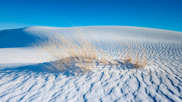 White Sands New Mexico Poster featuring the photograph Grass and Dunes by Joseph Smith