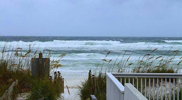 Weather Poster featuring the photograph Gulf Coast Waves by Debra Forand