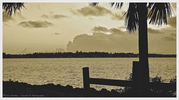 Sepia Poster featuring the photograph Indian River Sunset by Carol Bradley