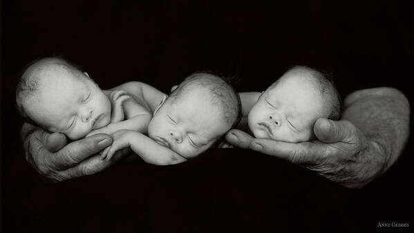 Black And White Poster featuring the photograph Jack and the Triplets by Anne Geddes