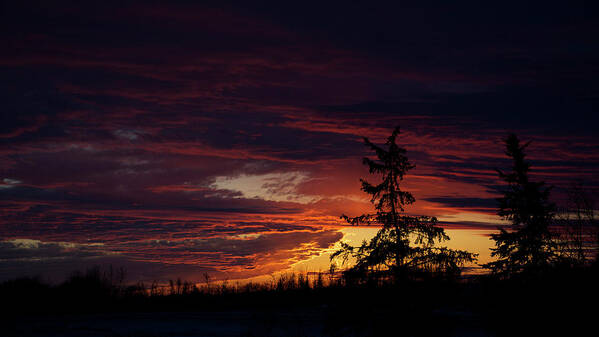 Sunrise Poster featuring the photograph January Sunrise by Ellery Russell