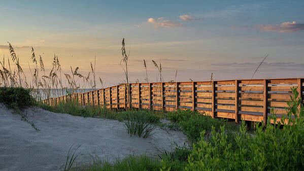 Georgia Poster featuring the photograph Jekyll Island Beach at Sunrise by Louis Dallara