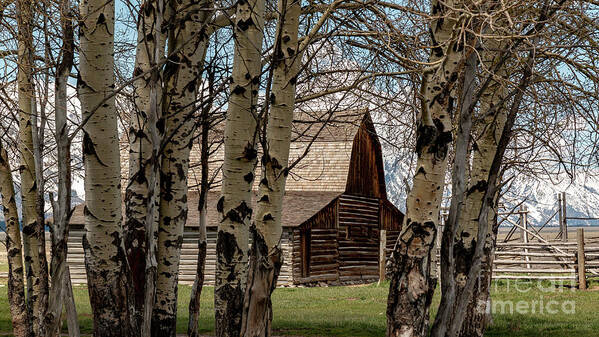 Barn Poster featuring the photograph John and Bartha Moultan Homestead Barn by Pam Holdsworth