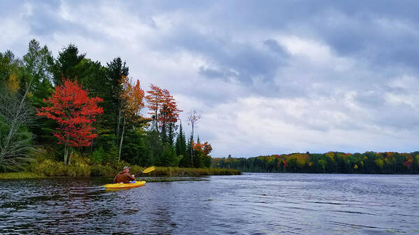 Kayaking Poster featuring the photograph Kayaking in Autumn by Brook Burling