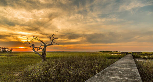 Dewees Island Poster featuring the photograph Lone Cedar Dock Sunset - Dewees Island by Donnie Whitaker
