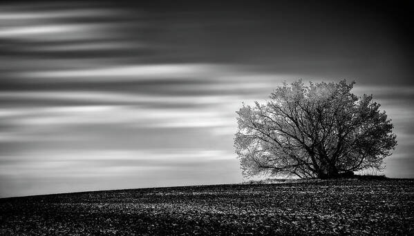 Long Exposure Poster featuring the photograph Lone Tree by Dan Jurak