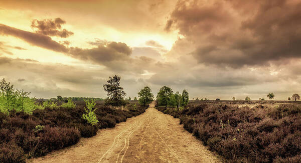 Gelderland Poster featuring the photograph Long road ahead by Tim Abeln