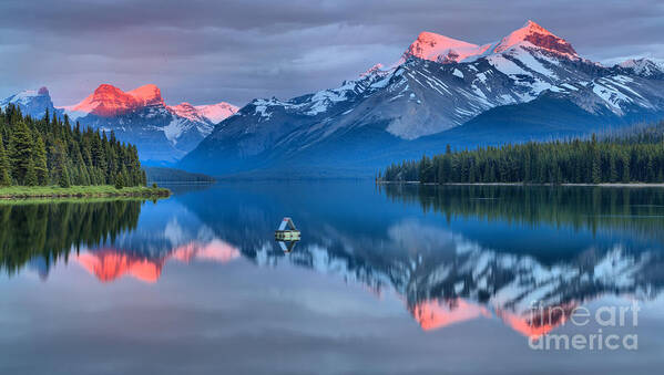 Maligne Lake Poster featuring the photograph Maligne Pink Tips by Adam Jewell