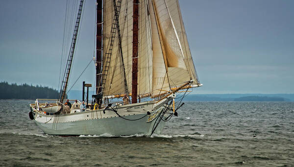 Schooner Poster featuring the photograph Mary Day 2 by Fred LeBlanc