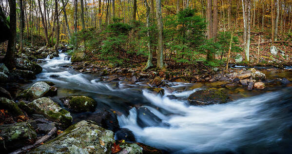 Landscape Poster featuring the photograph Mill Creek in Fall #2 by Joe Shrader