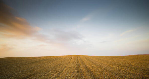 Sunset Poster featuring the photograph Minimalistic landscape with Meadow wheat field by Michalakis Ppalis