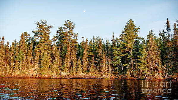 Vnp Poster featuring the photograph Moon Over Rainy by Lori Dobbs