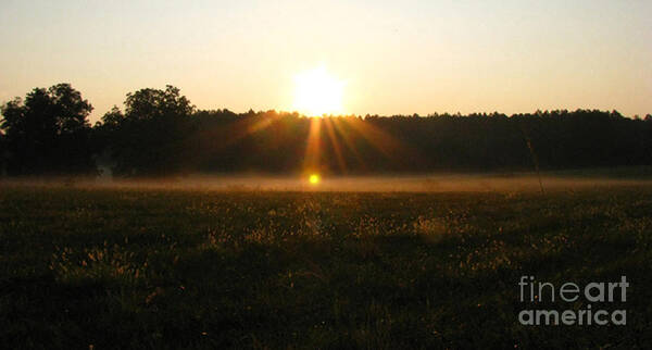 Sun Poster featuring the photograph Morning Sun Lite Field by Donna Brown