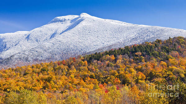 Autumn Poster featuring the photograph Mount Mansfield Seasonal Transition by Alan L Graham
