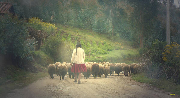 Peru Poster featuring the photograph Moving To Greener Pastures Ankawasi Peru by Anastasia Savage Ealy