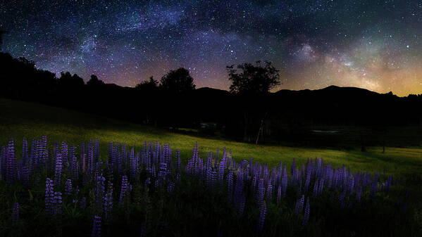 Milky Way Poster featuring the photograph Night Flowers by Bill Wakeley