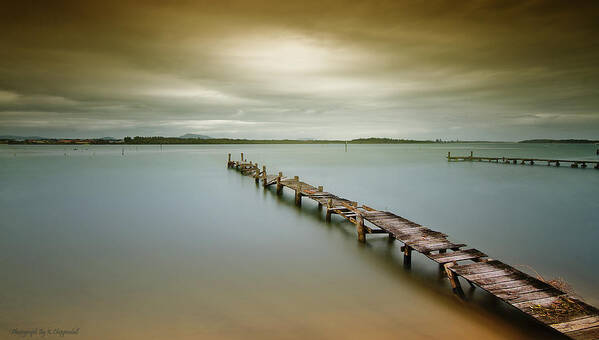 Manning Point Australia Poster featuring the photograph Old jetty 0010 by Kevin Chippindall