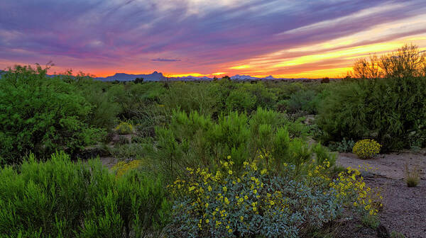 Sunset Poster featuring the photograph Oro Valley Sunset h37 by Mark Myhaver