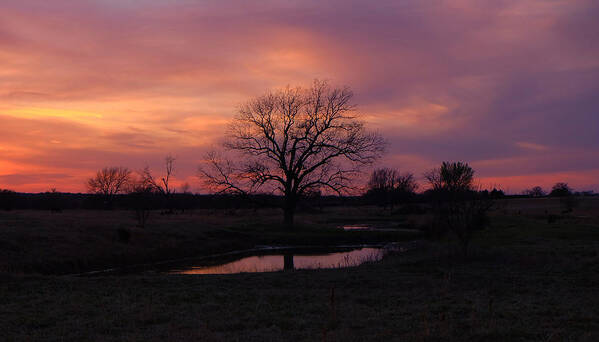 Sunset Near The Texas-oklahoma Border. Poster featuring the photograph Painted Sky by Ricardo J Ruiz de Porras