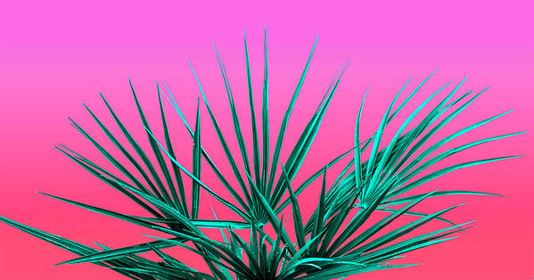 Vaporwave Poster featuring the photograph Pink Palm Life - Miami Vaporwave by Jennifer Walsh